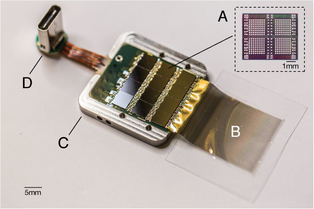 Neuralink's 2019 research sensor with neural signal-processing chips, polymer electrode threads, a titanium case, and a USB-C connector